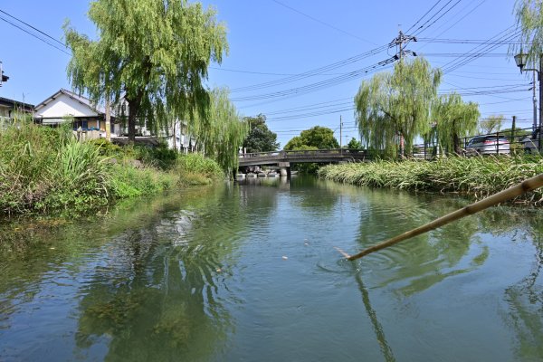 水郷柳川の川下り(4)：後ろの水路