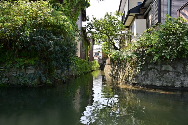 水郷柳川の川下り(8)：狭い水路