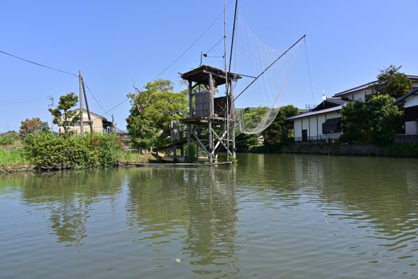 水郷柳川の川下り(16)：くもで網