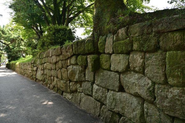 柳川城跡(1)：城壁