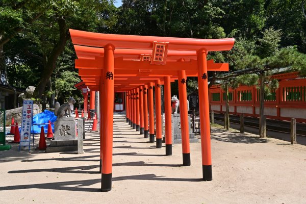 住吉神社(4)：鳥居