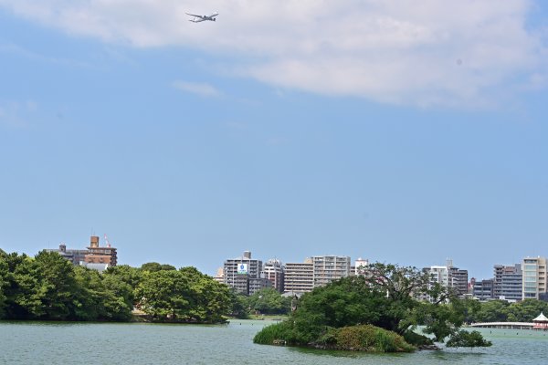 大濠公園(3)：鴨島とA350