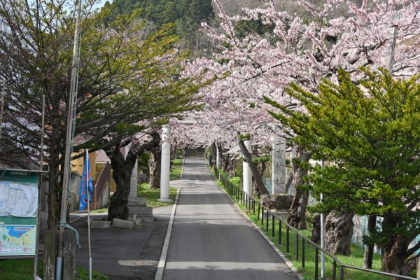 住三吉神社