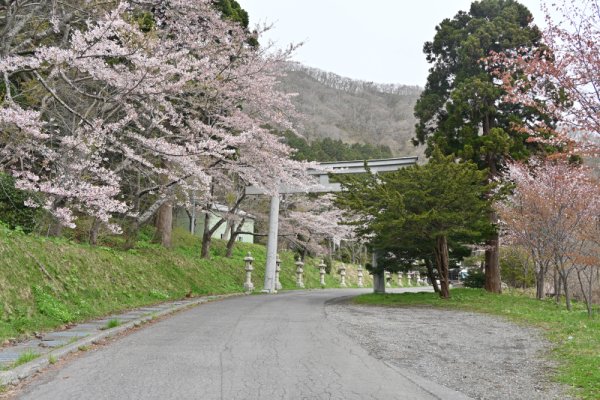 函館八幡宮：南側の鳥居