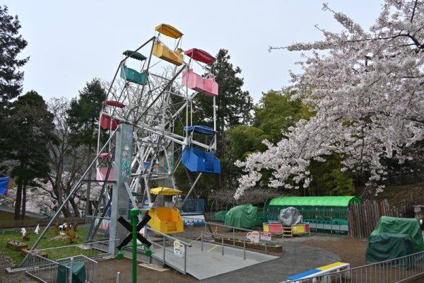 函館公園：日本最古のかんらんしゃ