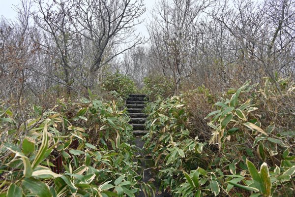 函館山トレッキング：御殿山第二砲台跡