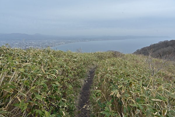 函館山トレッキング：千畳敷へ