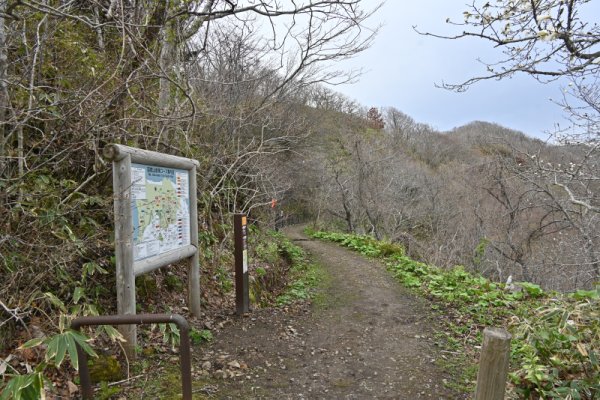 函館山トレッキング：下り？