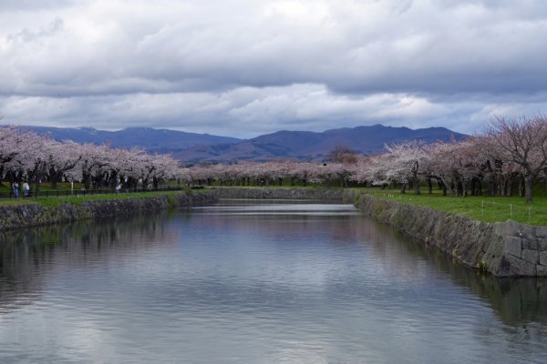 五稜郭公園：南西の角