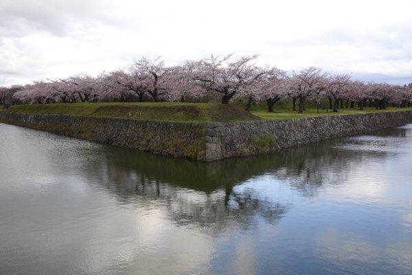 五稜郭公園：北西の角