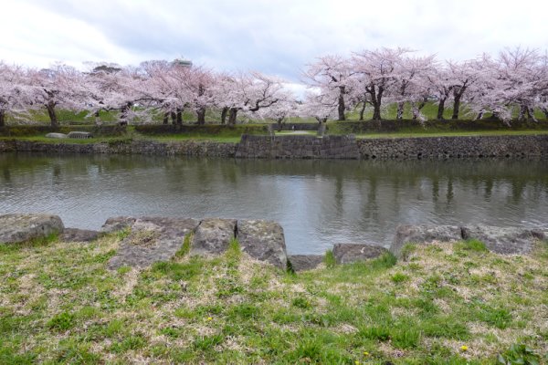 五稜郭公園：東側