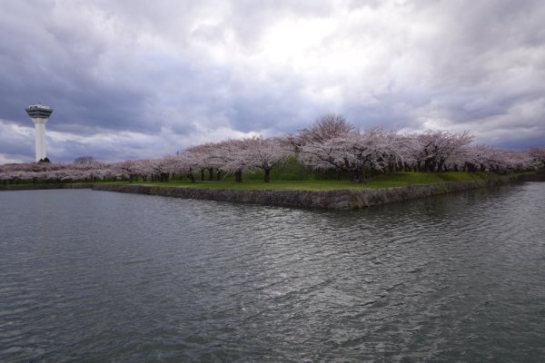 五稜郭公園：東南の角