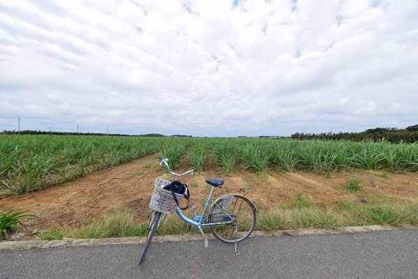 波照間島のまん中！