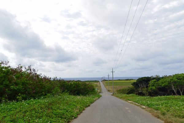 海に続く道