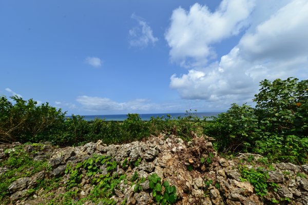 下田原城跡(2)