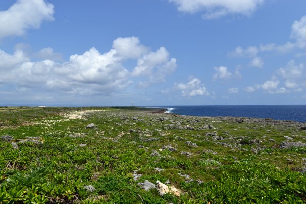 高那崎(1)