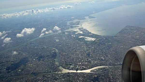 JAL253便：旧江戸川に野鳥の楽園