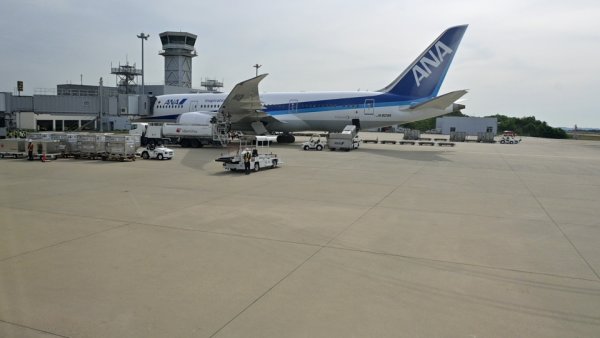 JAL253便：スポットに到着