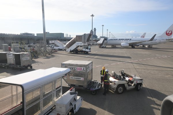 JAL253便：搭乗後のスポットにて