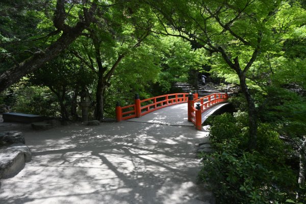 紅葉谷の径(1)