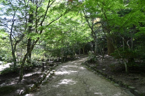 紅葉谷の径(2)