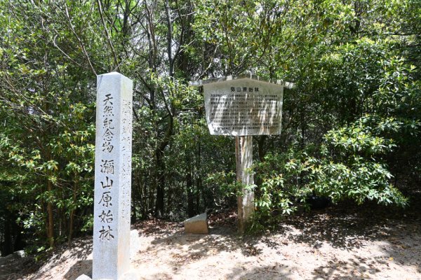 弥山原始林