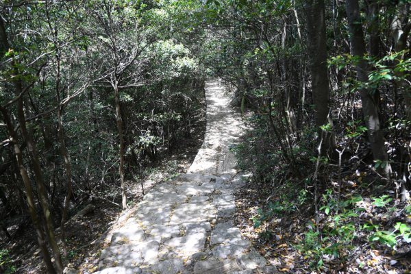 遊女石畳道