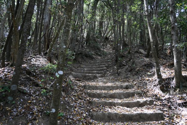 階段の登り