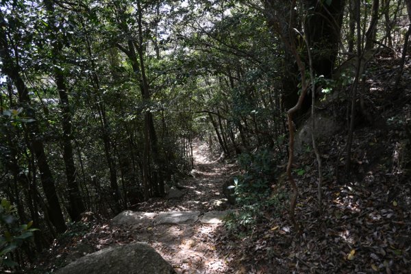 大元登山道に戻る