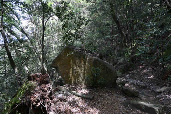 岩の間の下り