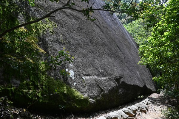 大きな岩
