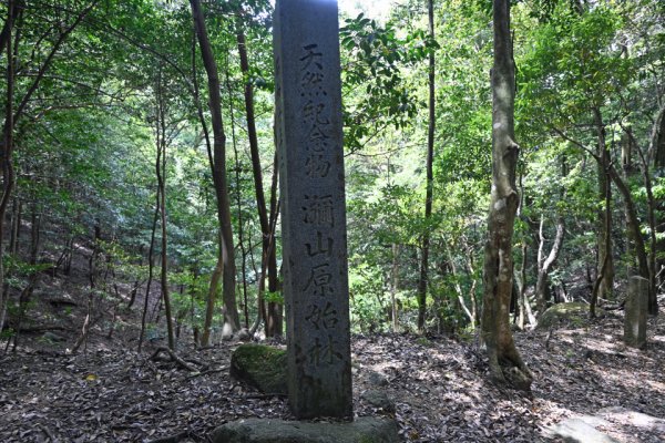 天然記念物の石柱