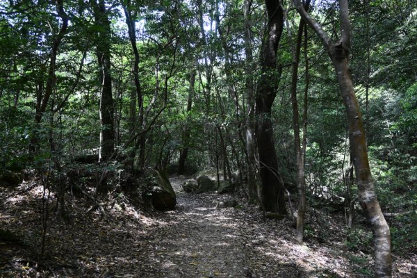 大元公園の入り口