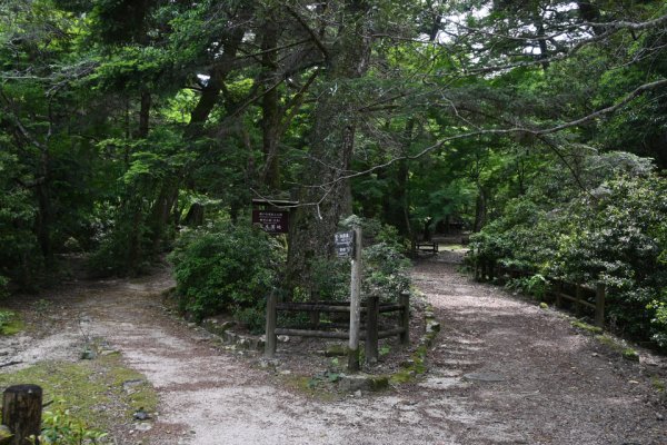 大元公園を出る