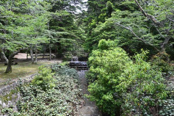 大元登山道の川