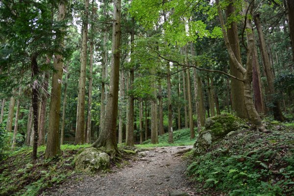 瓜割りの滝(2)