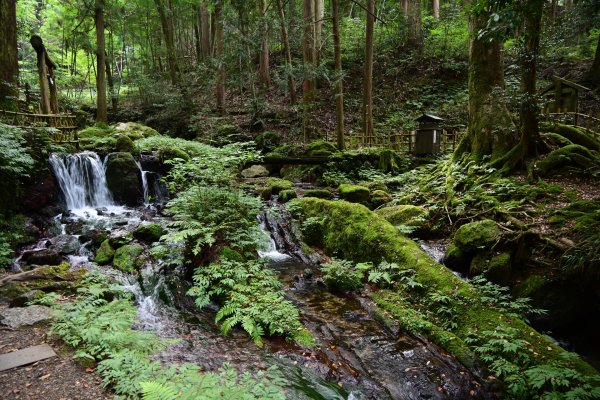 瓜割りの滝(5)