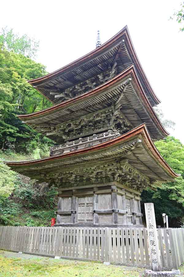 金剛院(2)