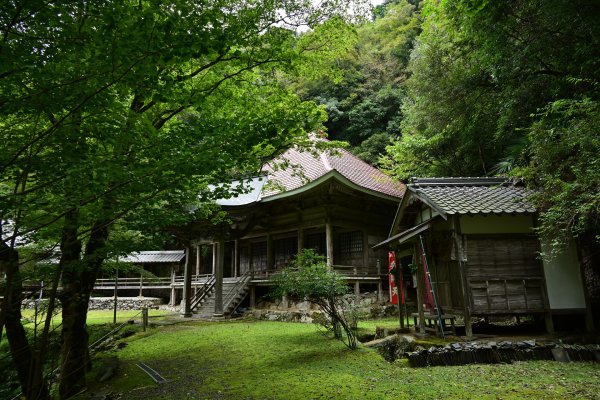 金剛院(6)