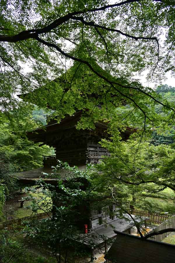 金剛院(8)