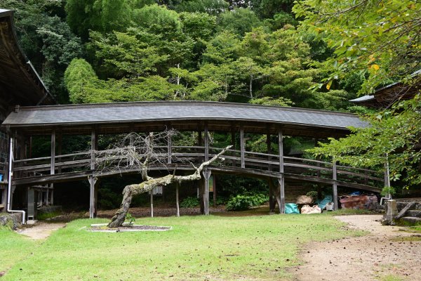 松尾寺(5)