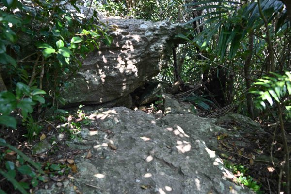 屋良部岳登山：岩を回り込む