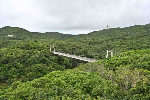 バンナ岳公園(14)：カンムリワシ展望台