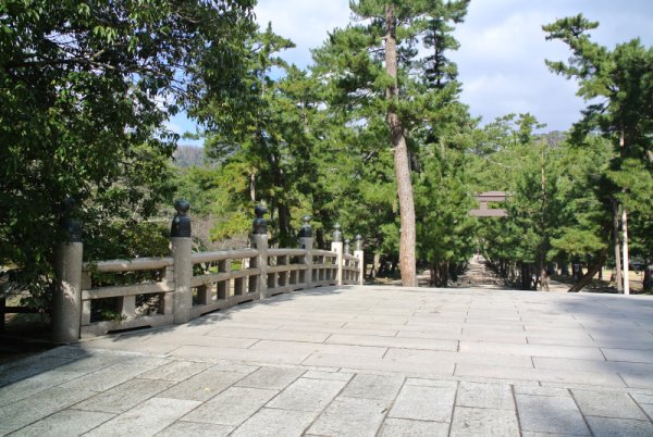 出雲大社：松の参道の鳥居