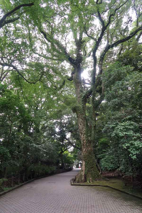 城山公園(1)