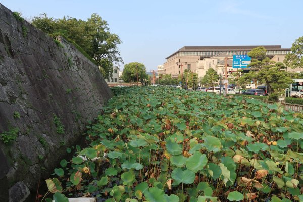 鶴丸城跡(4)