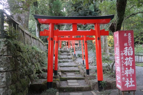 鹿児島神宮(3)