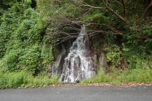 滝（高田の滝？）