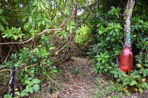 久高島：名もない浜への入り口