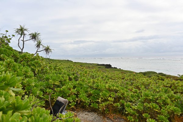 久高島：名もない浜